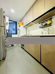 RiverParc Residence (D19), Condominium #532394181